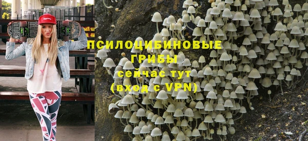 а пвп мука Белокуриха