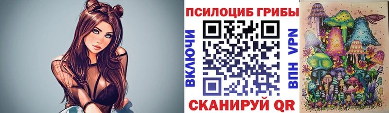 купить наркоту  Волжск  Галлюциногенные грибы Psilocybine cubensis 